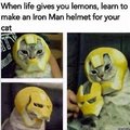 The cat looks so happy with his helmet