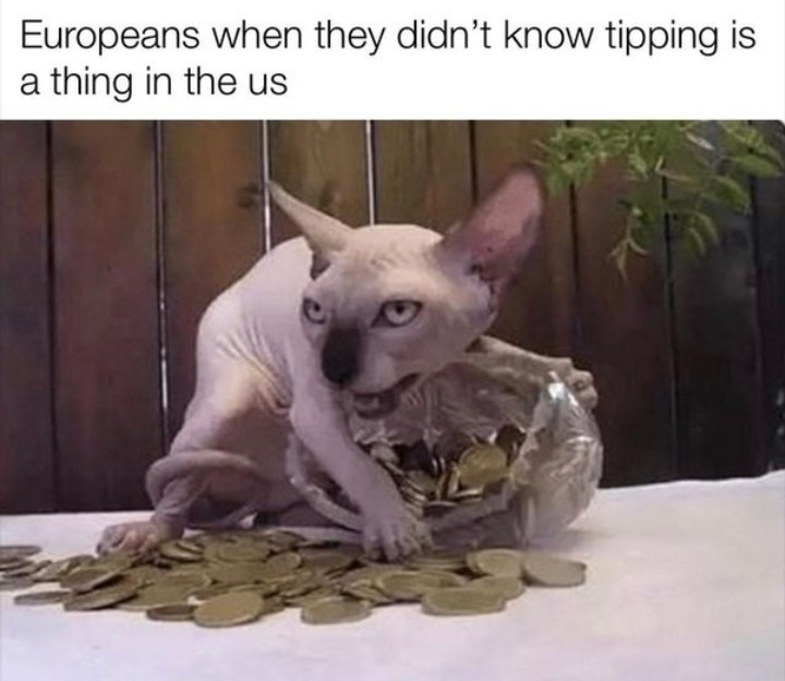 Tipping is not a must in other countries - meme