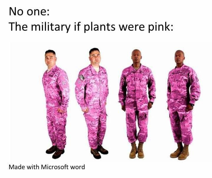 This a wack ass plant we're on Sir. - meme