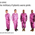 This a wack ass plant we're on Sir.