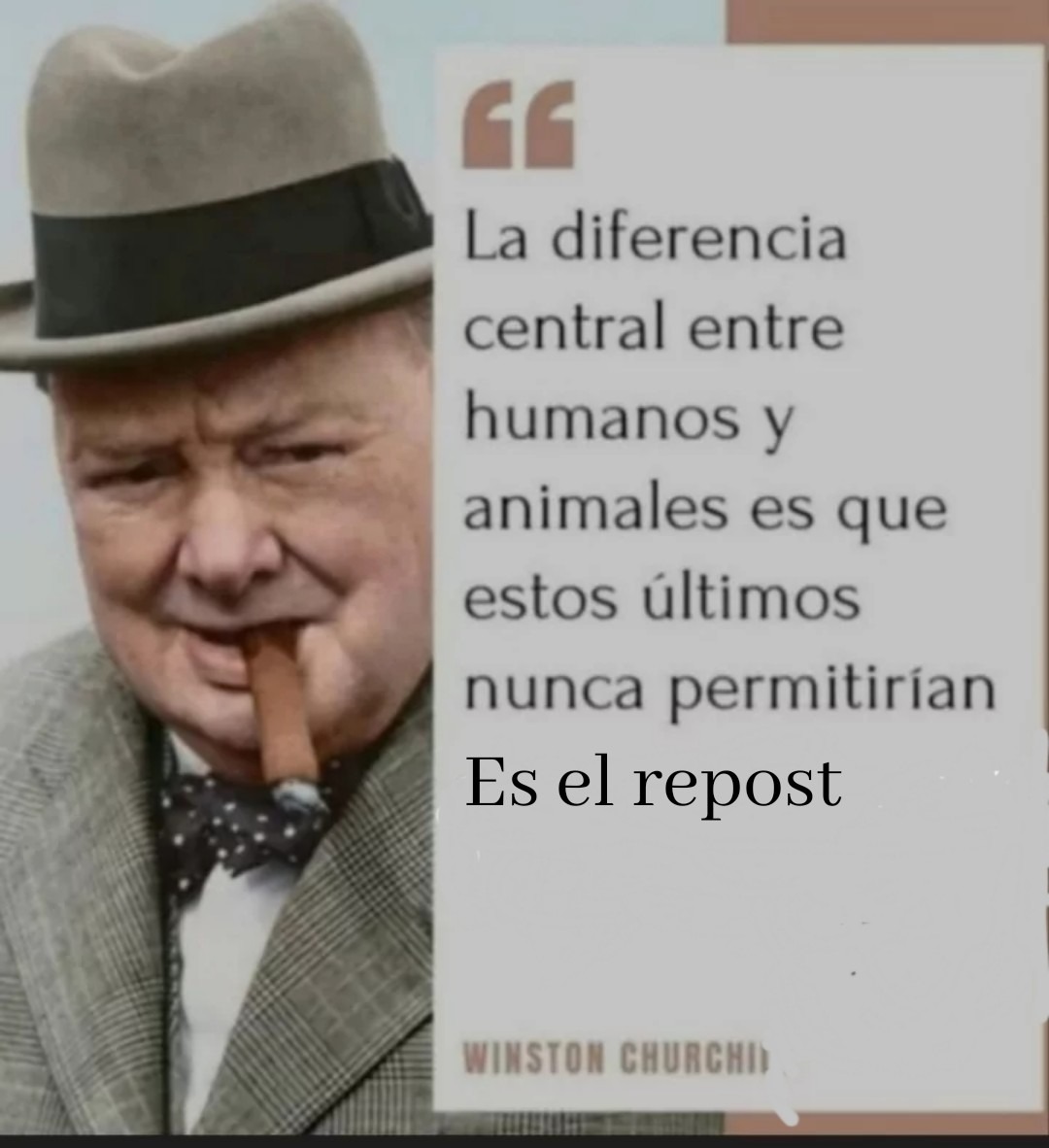 Frases qué Winston Churchill nunca dijo - meme