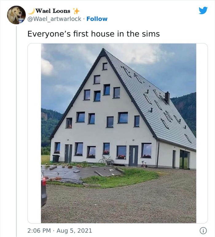 Fools we are in the sims - meme