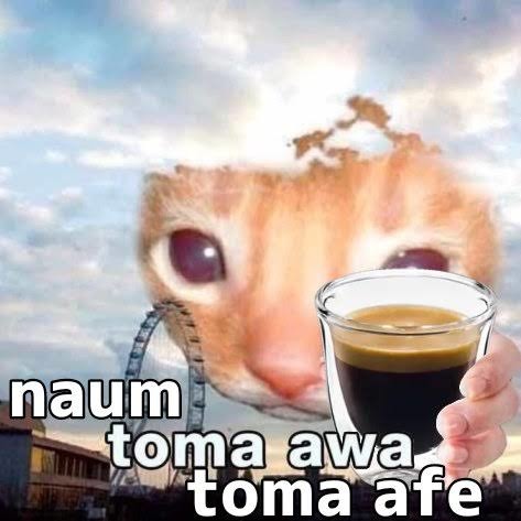 Bom dia toma afe - meme