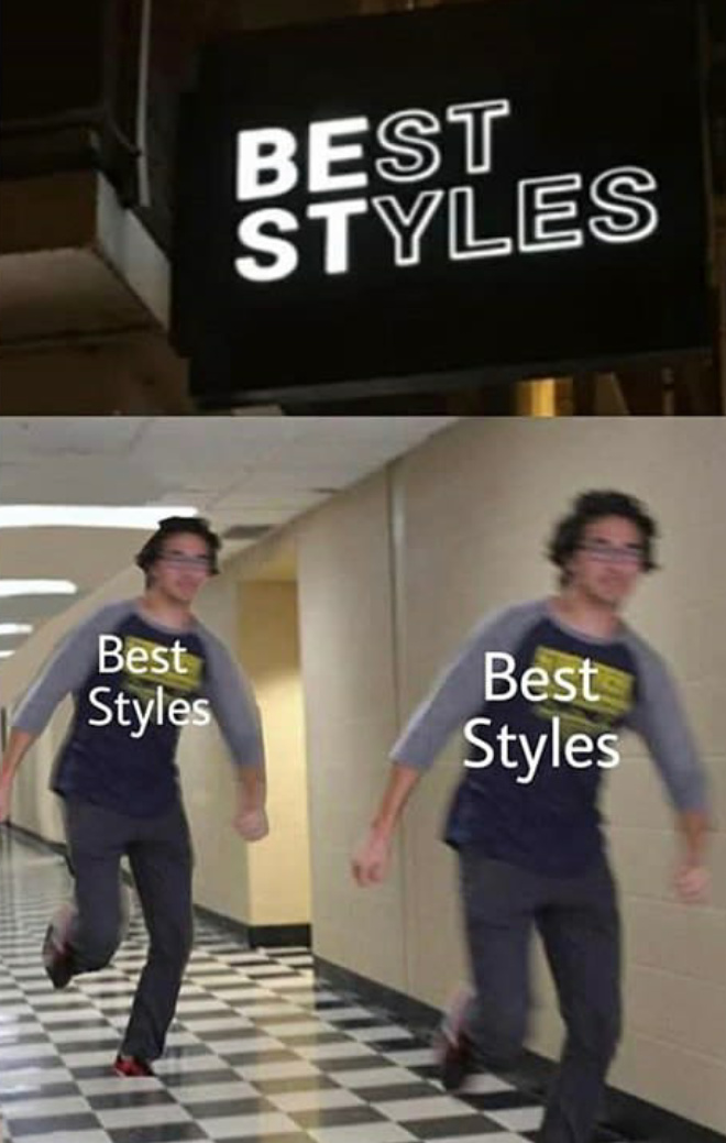 Best Styles - meme