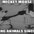The mouse