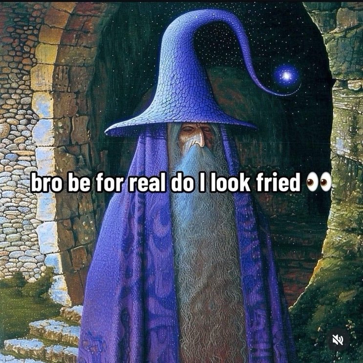 A wizard is sometimes late - meme