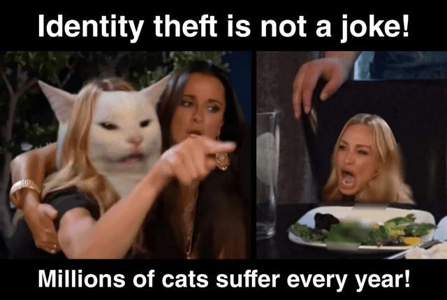 Millions of cats suffer from identity theft every year. Stop it. - meme