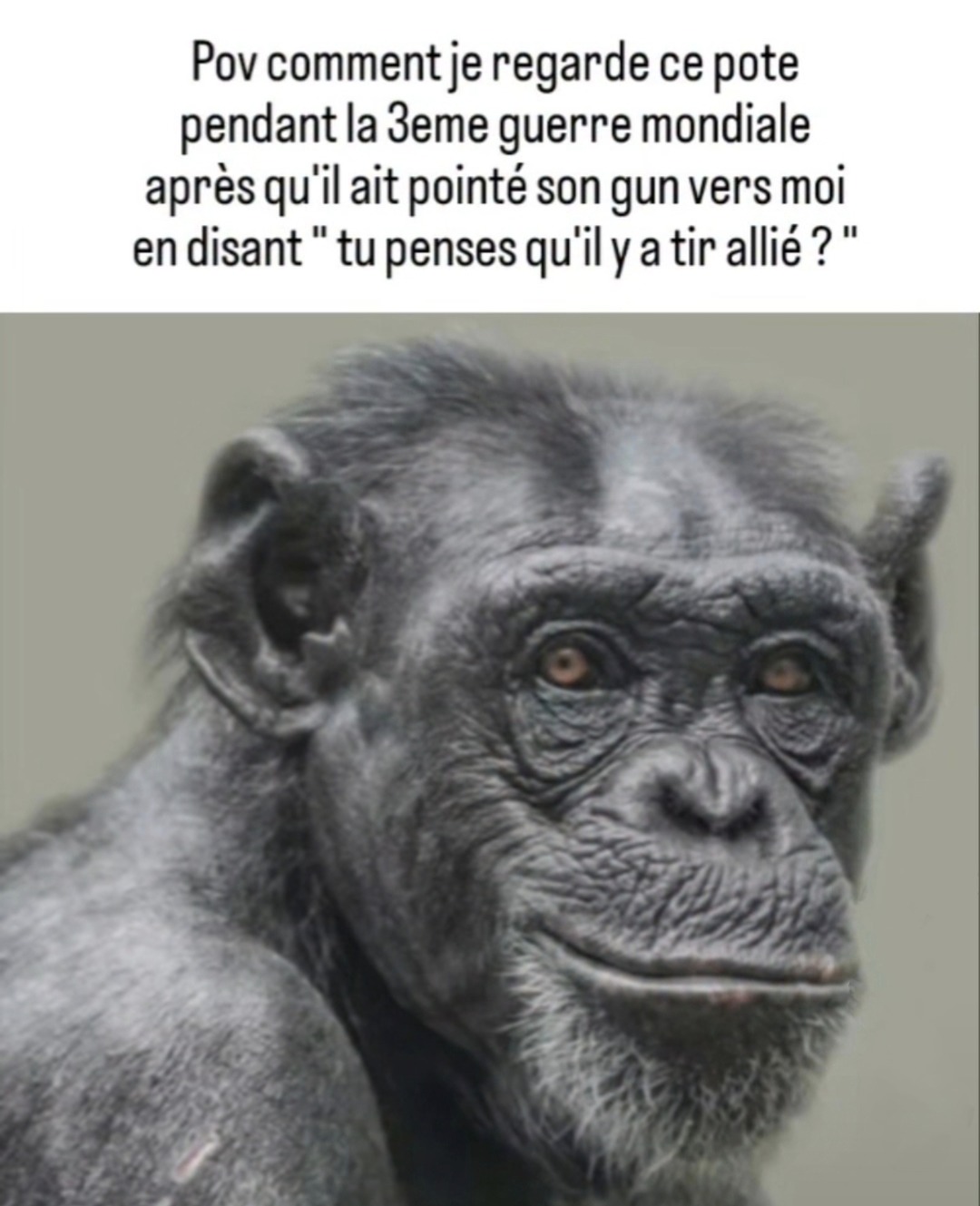 juste flippant - meme