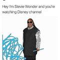 Hey eu sou o Stevie Wonder e você está assistindo o Disney Channel