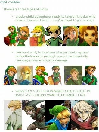 The many faces of Link, which are you? - meme