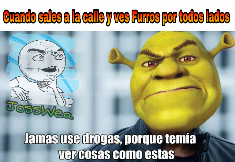 Shrek Anti-Furries - meme
