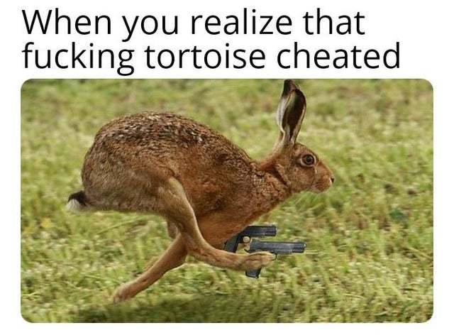 When you realize that the fucking tortoise cheated - meme