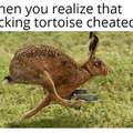 When you realize that the fucking tortoise cheated