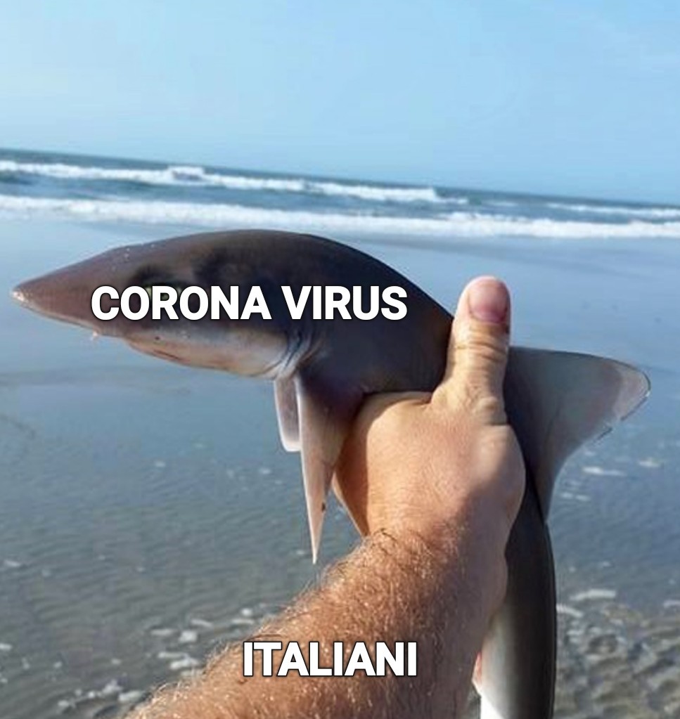 CoRoNaVirus - meme