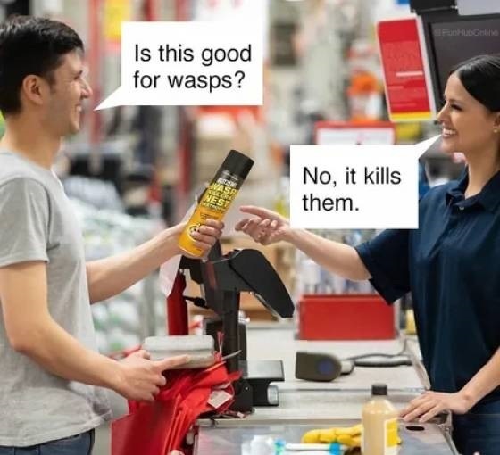 Insert wasp - meme