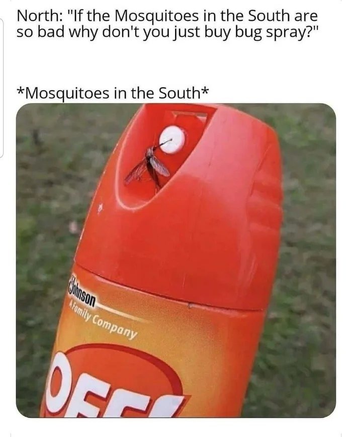 Mosquito season in Texas - meme