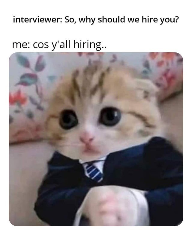 Why should we hire you? - meme