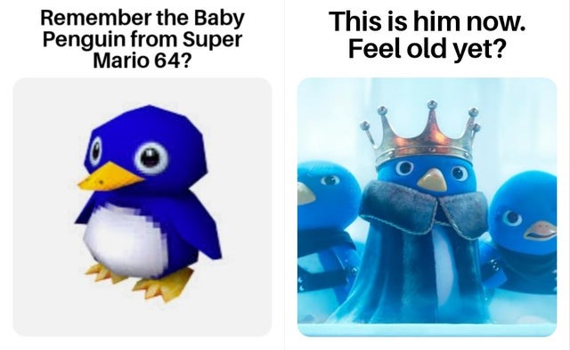 It's the same penguin - meme