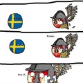 Summary of the Swedish deluge