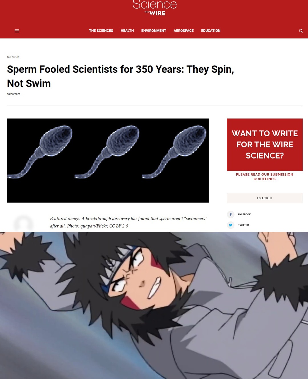 Dongs in a sperm - meme