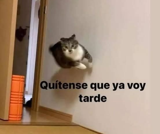 Apartense que voy - meme