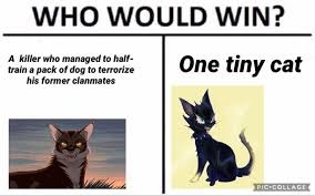 I hate Scourge - meme