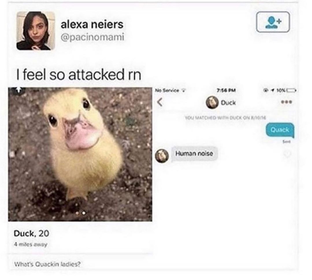 Quack Quack Motherfuckers ! - meme