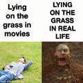 Lying on the grass