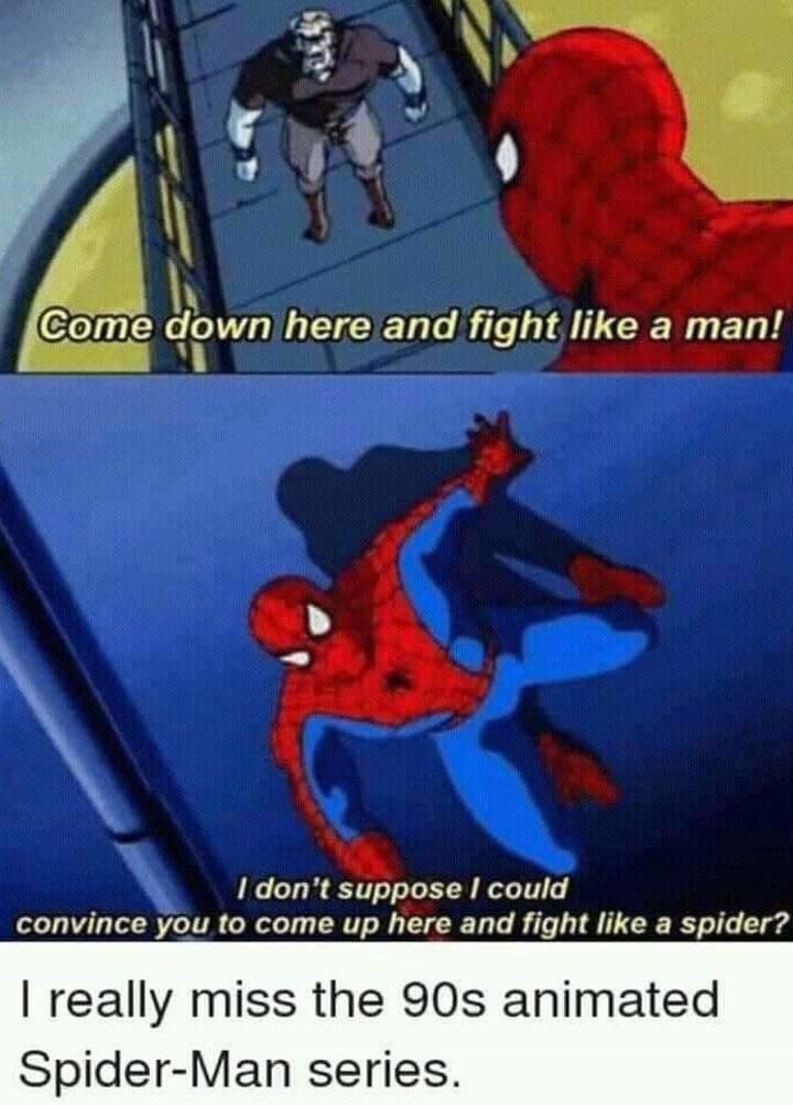 nostalgic meme about the 90s animated spiderman series