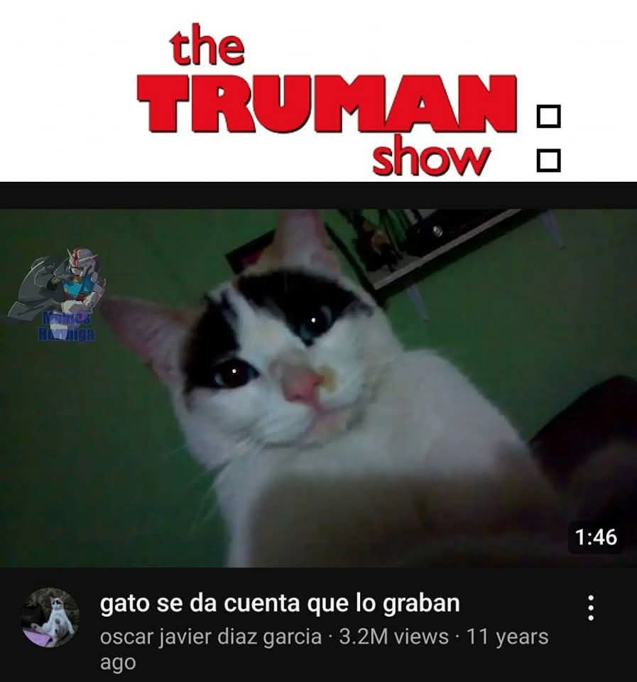 Resumidamente - meme