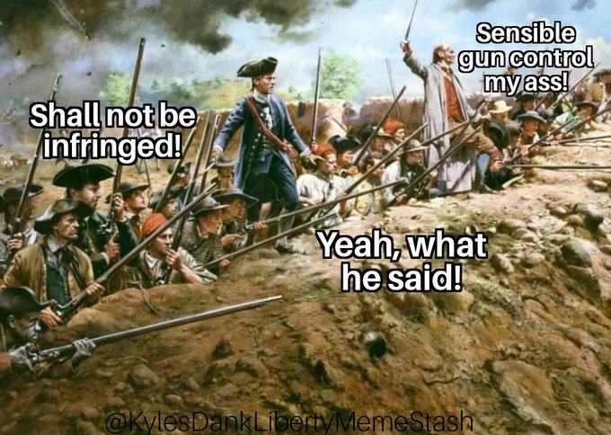 wiping boogers on gun laws - meme