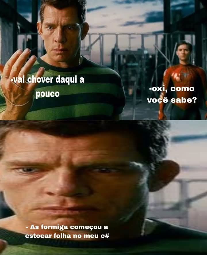 Folhas no boga. - meme