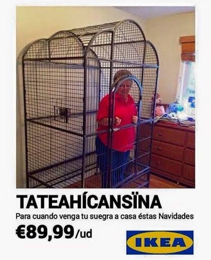 Para cuando la suegra venga de visita - meme
