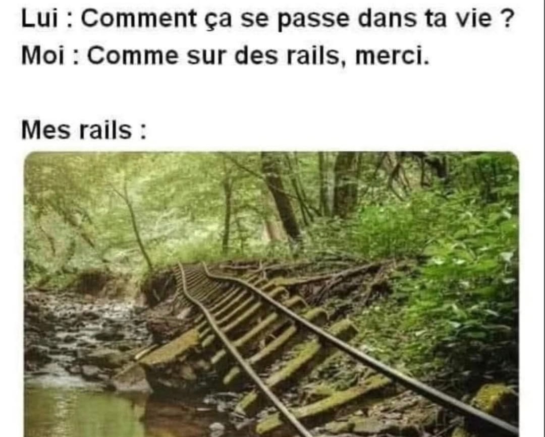 ma vie ? ouais nickel… sauf que mes rails sont en feu - meme