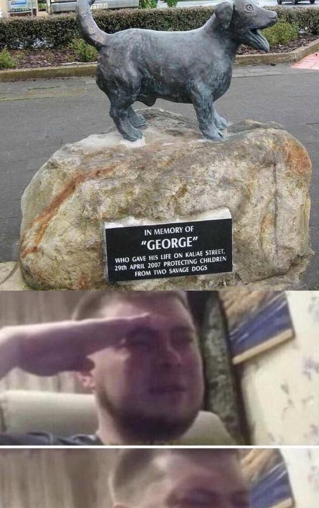 this is wholesome, let's bring it up for George - meme