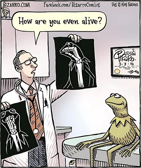 Kermit under x-ray - meme