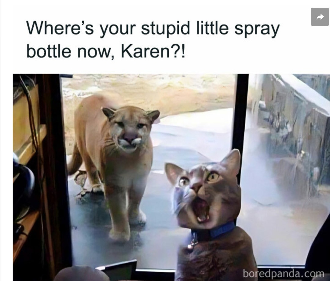 Big kat - meme
