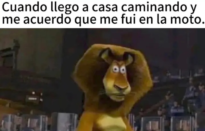 Ups - meme