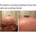 Bald