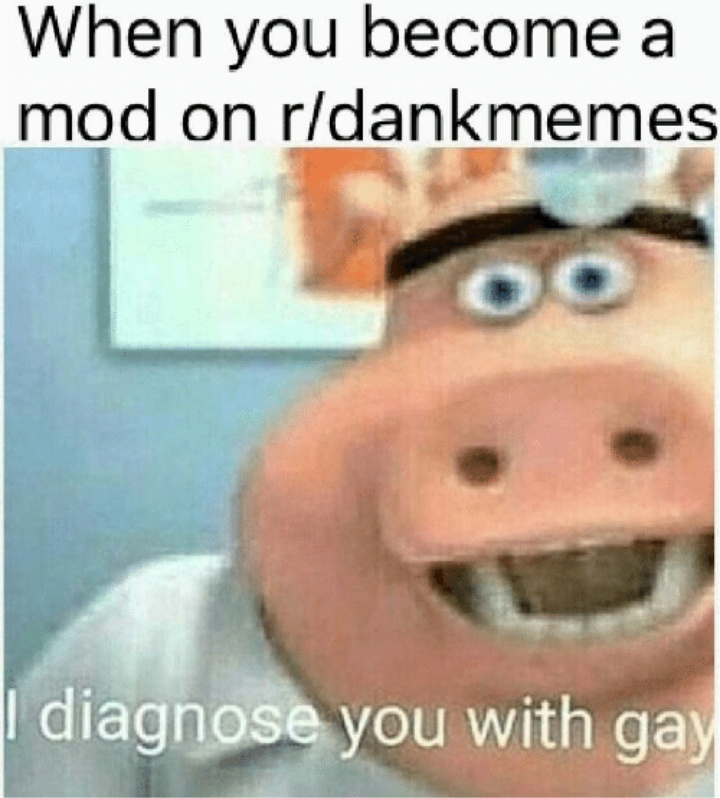 Gay weeb niggas - meme