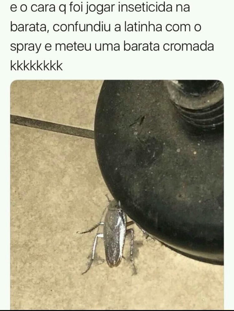 Medo de Barata?Aqui esta a Solução! - Meme by bbrandao33 :) Memedroid