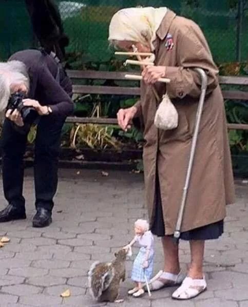 Old lady with puppet that looks like her feeding squirrel - meme