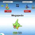 Megapedo