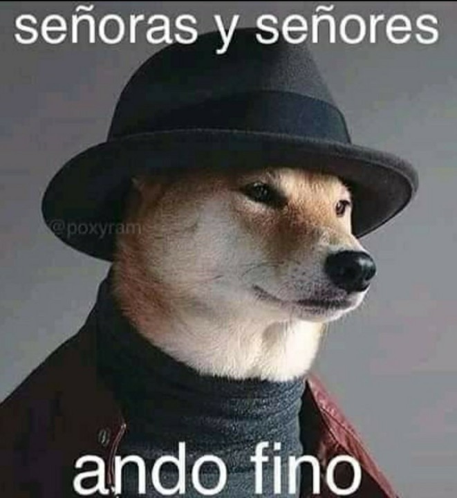 Fino señores - meme