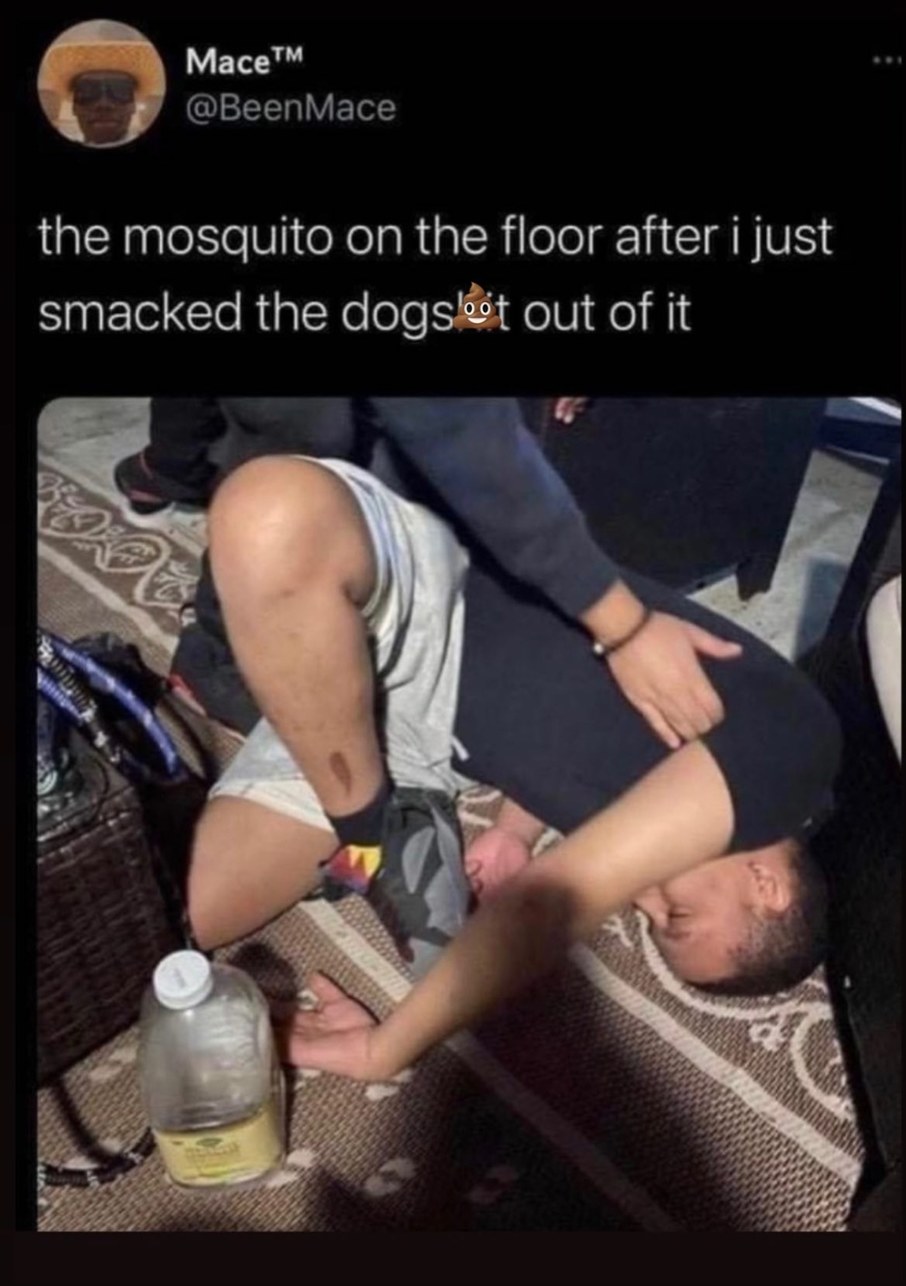 Fuck that mosquito - meme
