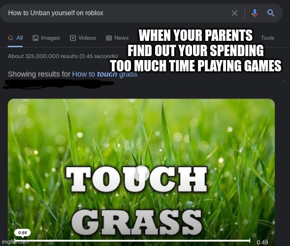 I touched grass. - meme