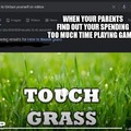 I touched grass.