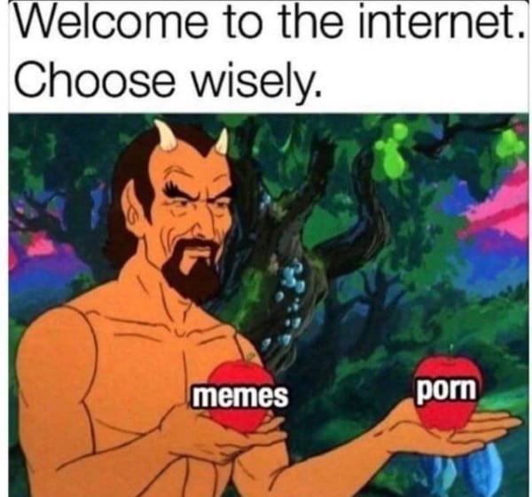 Welcome to the internet. Choose wisely - meme