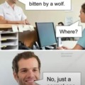 Bitten by a wolf