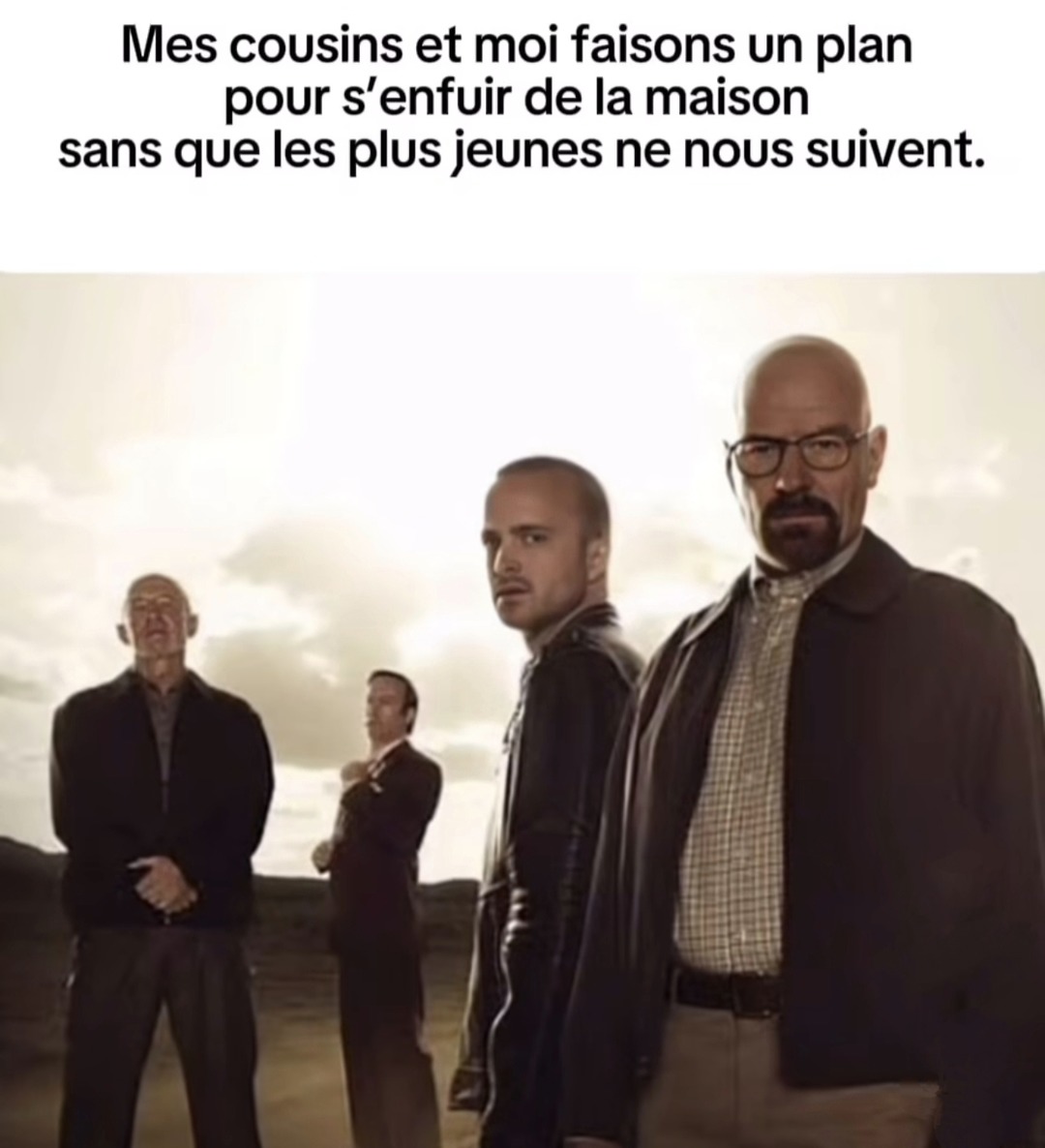 mission évasion avec les cousins sans les mini-stalkers - meme